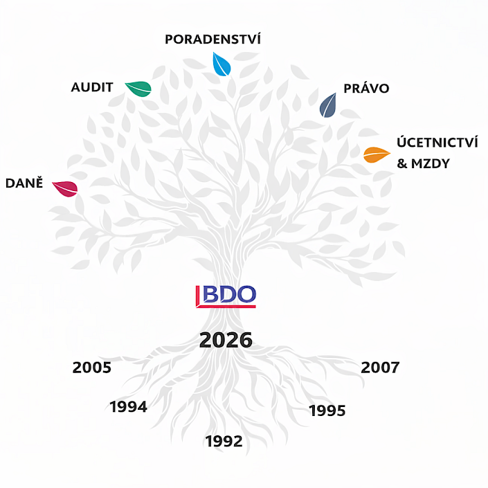 Infografika služeb BDO