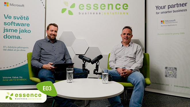 Podcast Essence E03: External ERP Consultants – When They Help and When They Harm